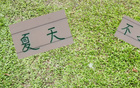 申花領(lǐng)先6分，國安續(xù)約烏，夏窗靜待。
