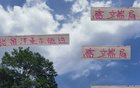 張玉寧高天意，國安申花精英；留洋進國家隊，實力非凡。