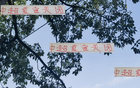 夏窗收官，四隊顯高級風范。