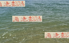 誰料海港穩(wěn)勢被天津隊(duì)拉下第三名，第22輪中超前四。