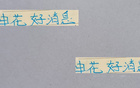 申花多名球員轉(zhuǎn)戰(zhàn)武漢三鎮(zhèn)，路易斯缺席。