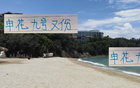 申花9號傷勢，武漢三鎮(zhèn)戰(zhàn)猴哥或阿蘇埃？