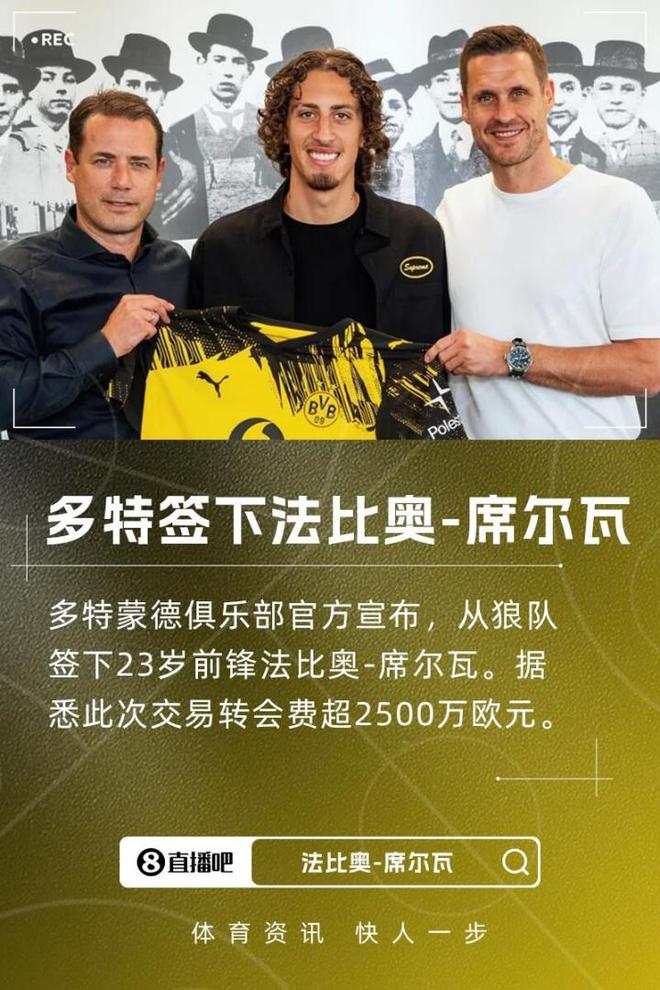 多特新援法比奧，2500萬歐加盟，球隊實力強，有望歐冠奪冠。
