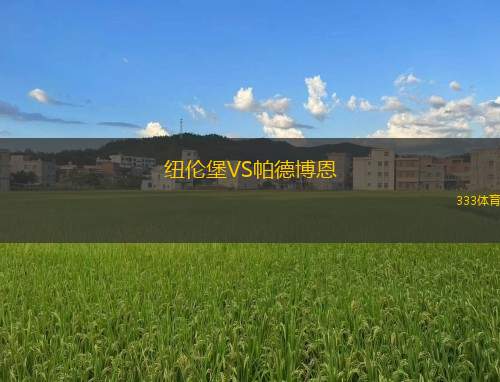 斯太爾前進(jìn)VS格來(lái)斯多夫