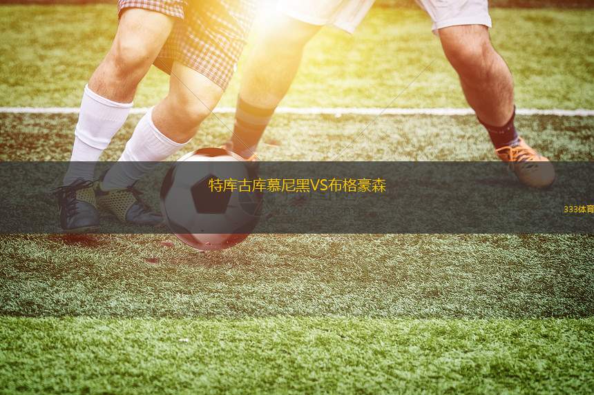 哈特堡格VSLASK林茨