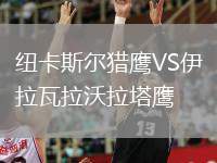 紐卡斯爾獵鷹VS伊拉瓦拉沃拉塔鷹