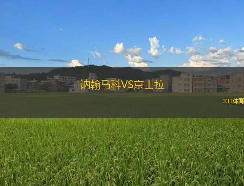 維澤拉VS艾華卡