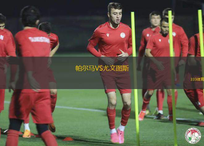 茲林VS布爾諾