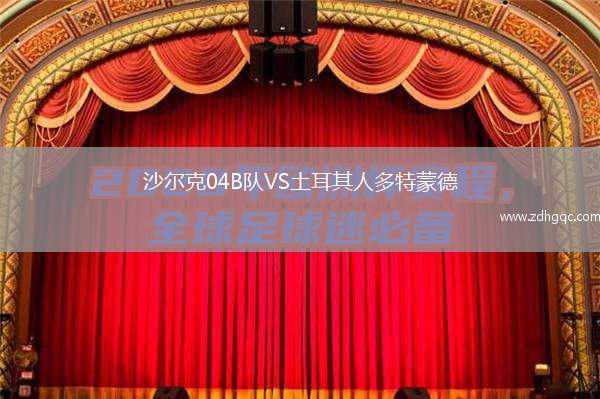沙爾克04B隊(duì)VS土耳其人多特蒙德