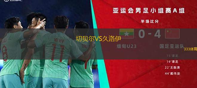 布萊頓VS萊斯特城