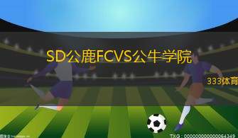 FK諾夫薩迪克VS史拉維辛