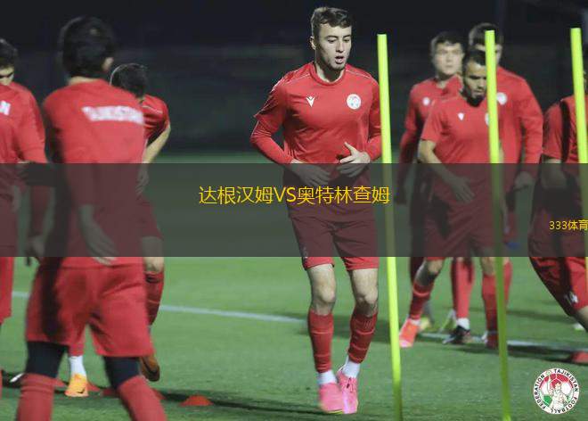 阿萊格里亞VSCF阿拉恩比斯卡拉