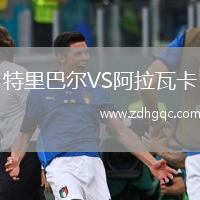 特里巴爾VS阿拉瓦卡
