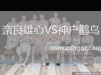 奈良雄心VS神戶鸛鳥