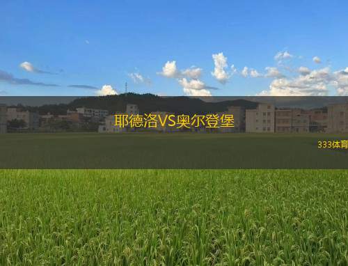 布澤內(nèi)克VS特恩貝克