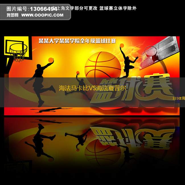 維岡競技VS羅瑟漢姆