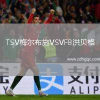 TSV梅爾布施VSVFB洪貝格