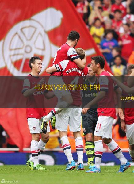巴斯蒂亞VS格勒諾布爾