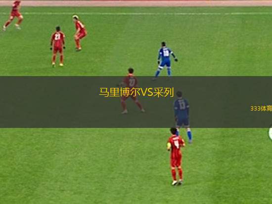 格羅巴斯帕奇VS普福爾茨海姆