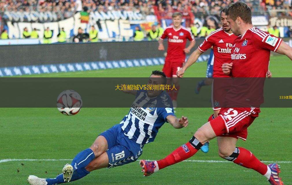 洪格VS林斯04