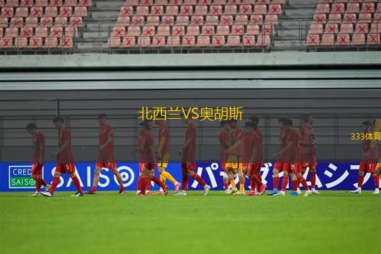 米內(nèi)羅美洲青年隊(duì)VS戈亞尼恩斯U20
