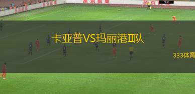 梅特蘭VS林頓加法斯