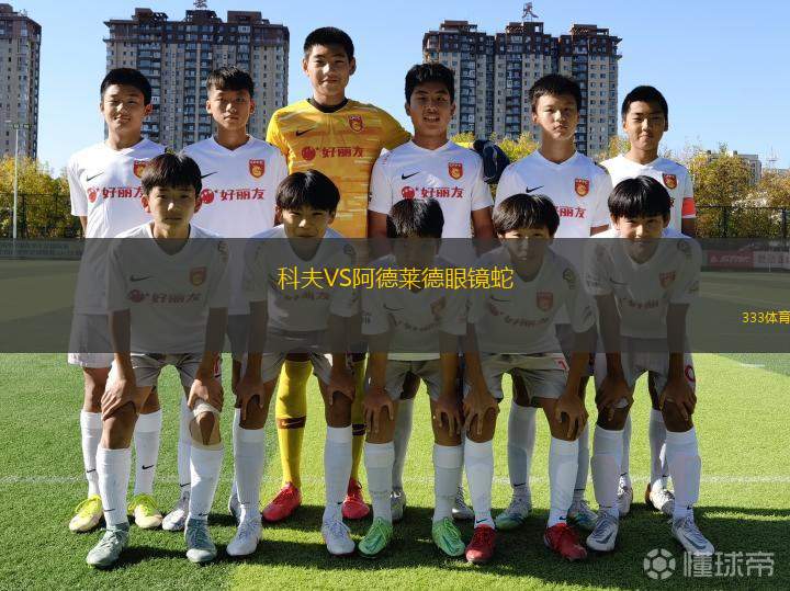 波多黎各努埃沃VS梅賽德斯