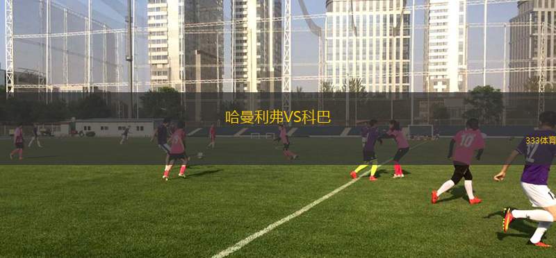 布萊尼VS莫爾德