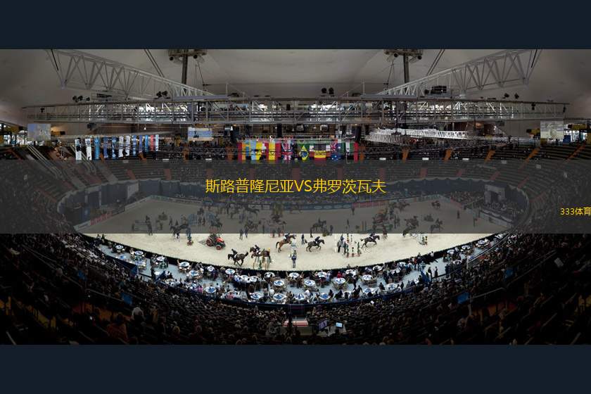 斯夫格VS多瑙