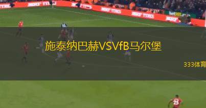 威斯基拉VS巴迪莎