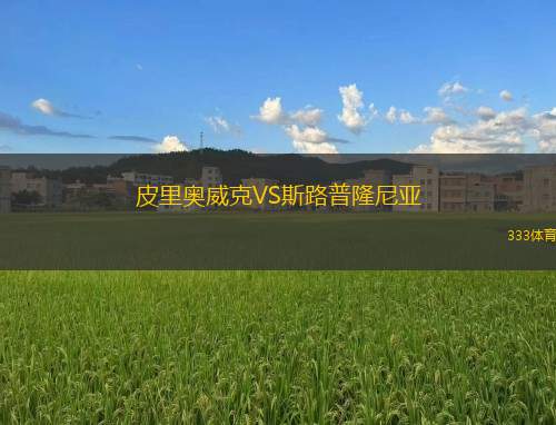梅塔利斯特1925B隊(duì)VS尼瓦米尼特西亞