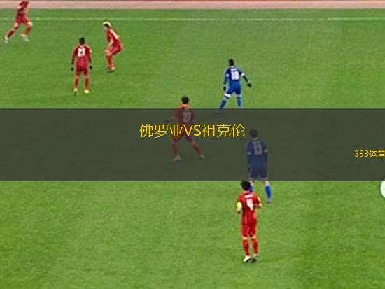 斯米爾泰VS奧格雷聯(lián)合