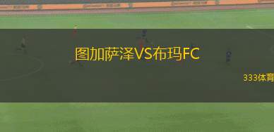 德扎迪納摩VS卡龍加聯(lián)隊