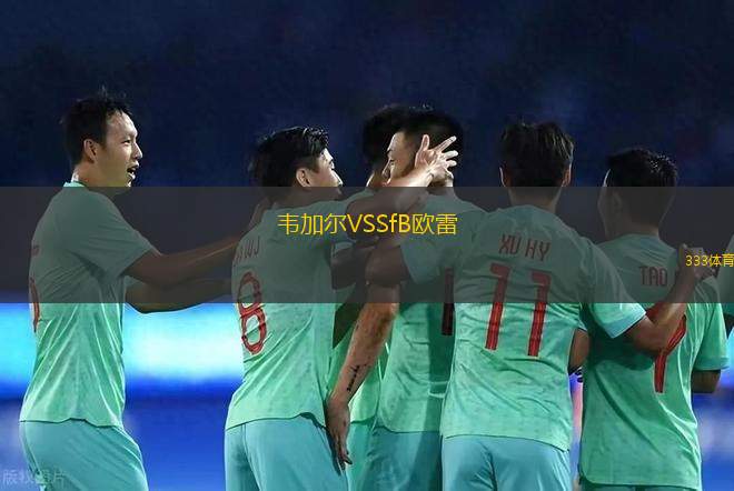 明尼蘇達(dá)聯(lián)VS圣路易斯城
