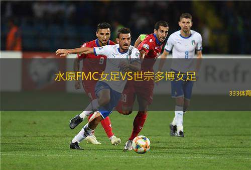 斯塔拉霍維采之星VS斯維德尼贊卡