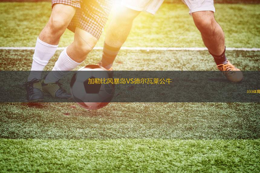 亞特蘭大夢想VS達(dá)拉斯飛翼