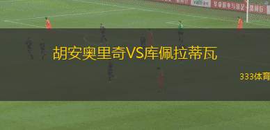 比托姆VS霍吉尼贊卡