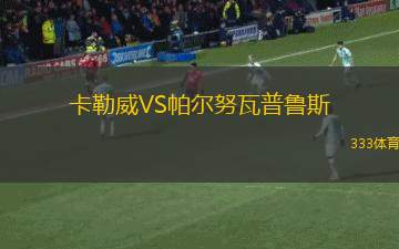 尼日爾FCVS卡諾支柱