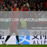洛杉磯FCII隊(duì)VS明尼蘇達(dá)聯(lián)B隊(duì)
