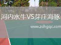 河內水牛VS芽莊海豚