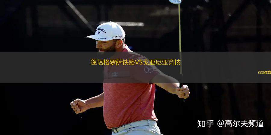 巴韋爾VS格雷斯利流浪者