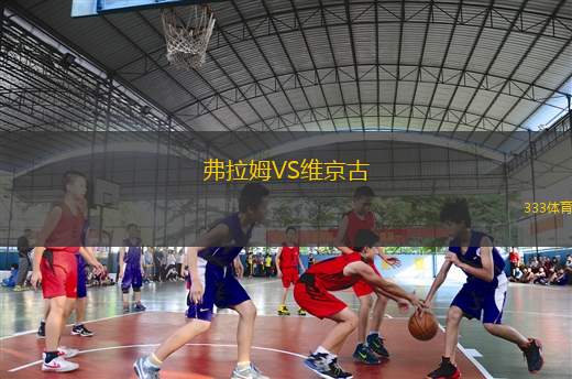 杜伊斯堡VS普魯士明斯特
