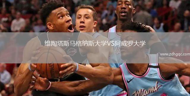 維陶塔斯馬格納斯大學(xué)VS阿威羅大學(xué)