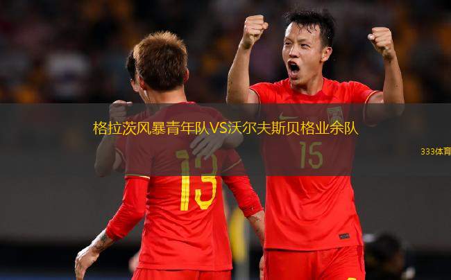 西汀泊VS達(dá)根漢姆