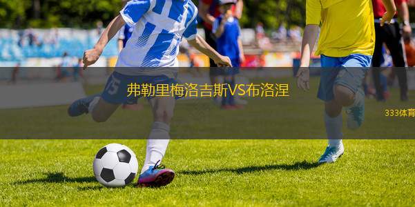 阿德萊德眼鏡蛇后備隊VS阿德萊德奧林匹克后備隊