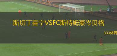 布里斯班狼隊(duì)VS半島電力