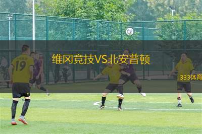 穆瑟維茨VSRB萊比錫