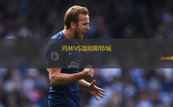 波鴻青年隊(duì)VSSV索尼克斯