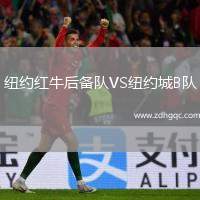 紐約紅牛后備隊(duì)VS紐約城B隊(duì)