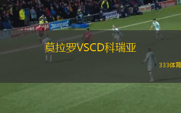 斯切丁喜寧VS克臣安薩丘林